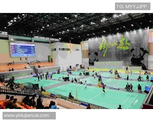 成都羽毛球队在全国锦标赛中的转型与崛起之路探秘